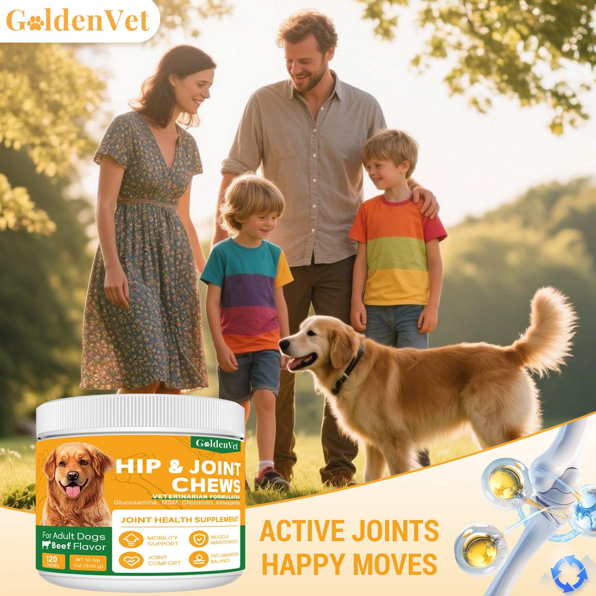 GOLDENVET hip joint chews 120-count packaging shown for long-term use