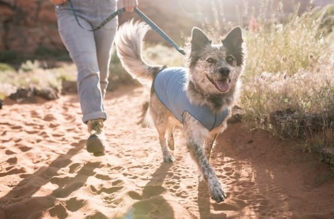 Gold Paw sun shirt lightweight breathable fabric shown for cooling comfort.