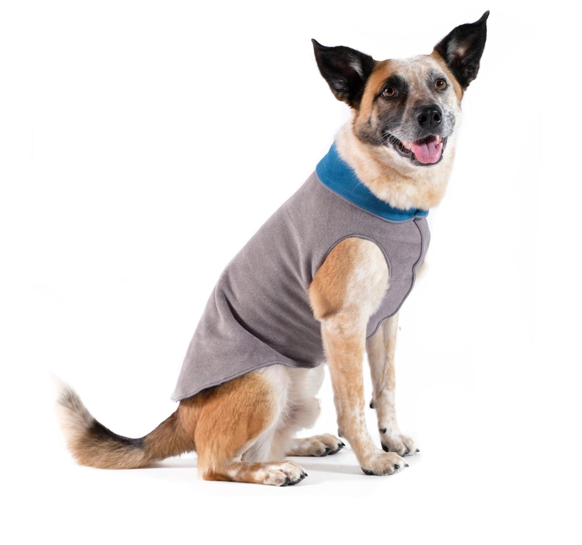 Gold Paw Duluth double fleece sweater vest front view keeps small dogs warm and stylish.