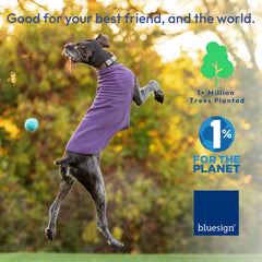 Gold Paw mulberry plaid color option on a dog during a chilly stroll.