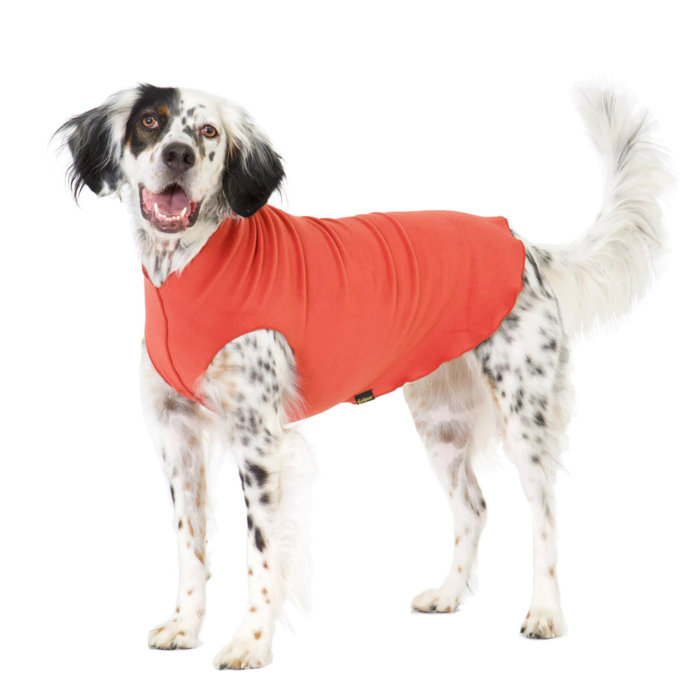Gold Paw stretchy fleece jacket on a small dog showing warm, snug fit for winter walks