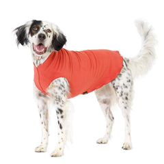 Gold Paw stretchy fleece jacket on a small dog showing warm, snug fit for winter walks