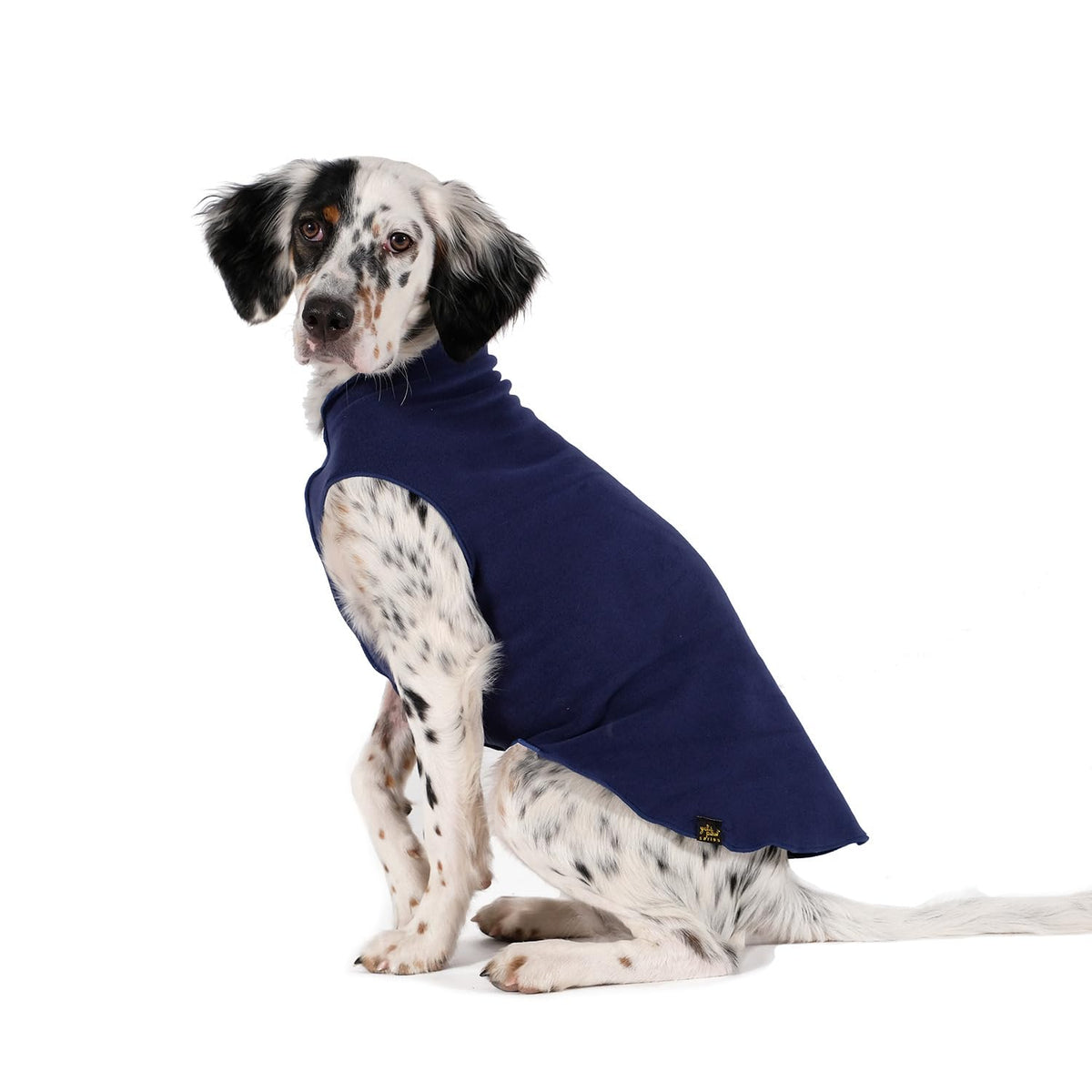 Gold Paw stretchy fleece jacket for small dogs, navy front view, ideal for warm daily walks