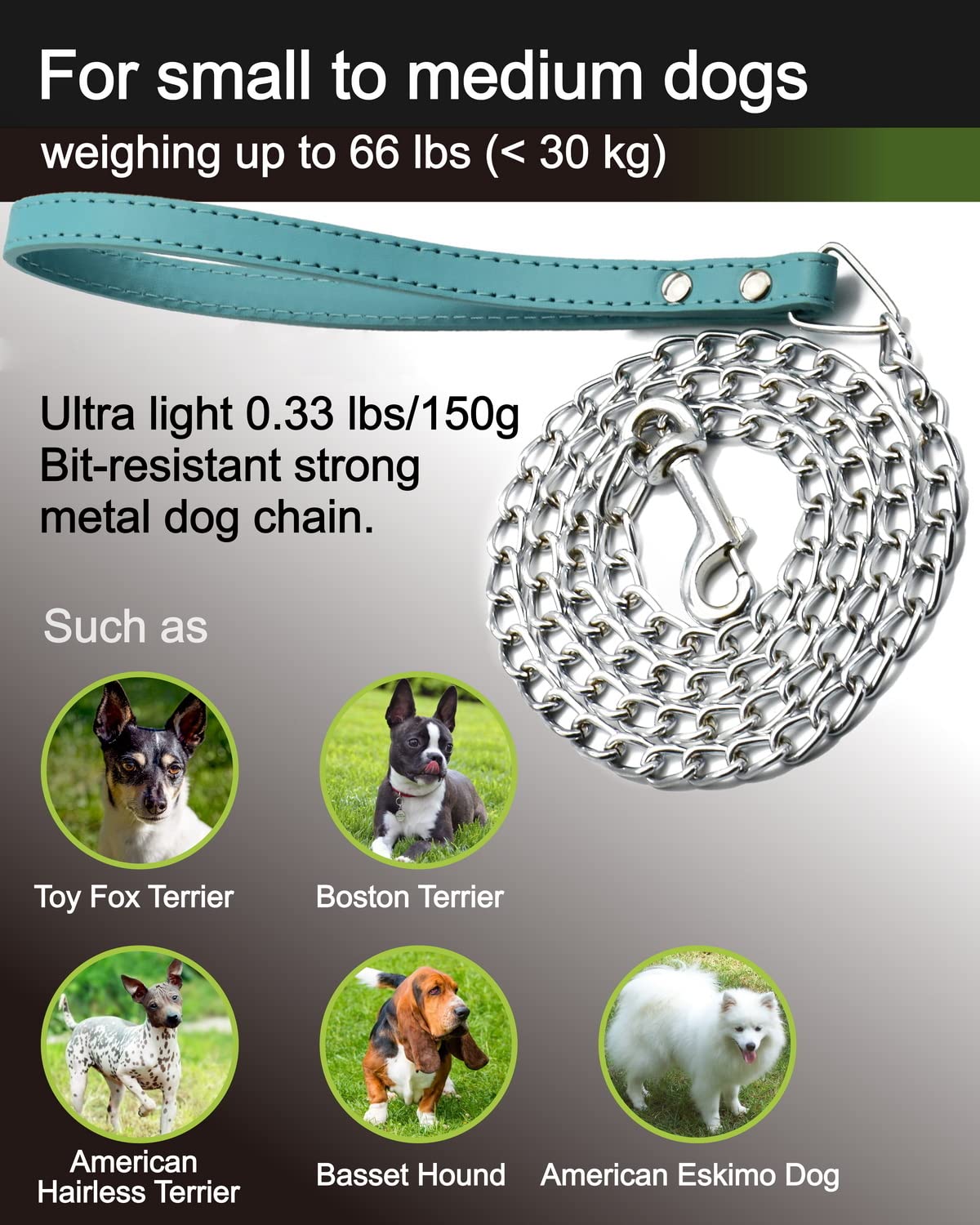 Goliton dog leash metal chain close-up showing durable links