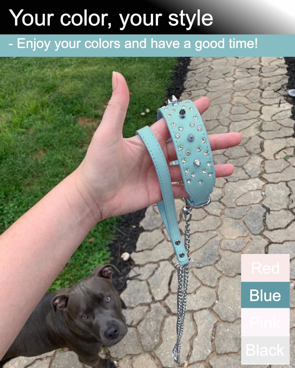 Goliton dog leash sturdy buckle for secure attachment