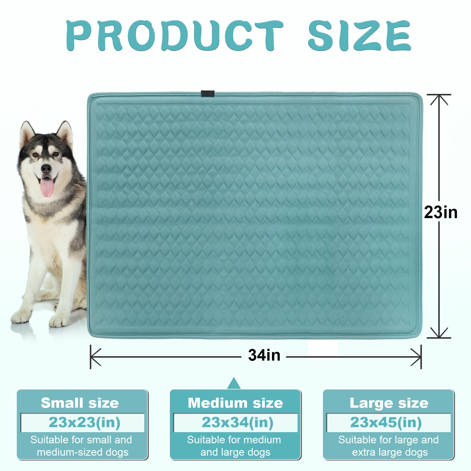 GOLOPET rolled mat shows compact portability for travel and easy storage