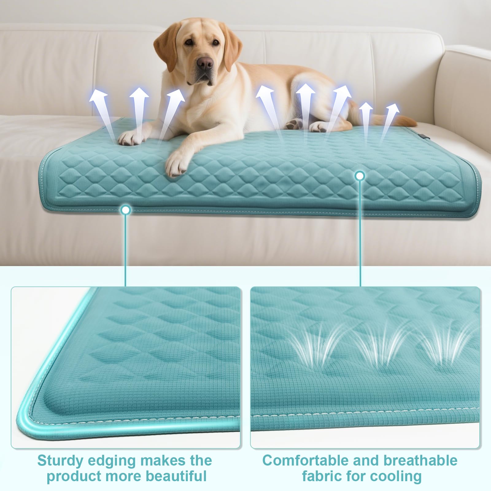 GOLOPET non-slip base image underlines grip on various floor surfaces