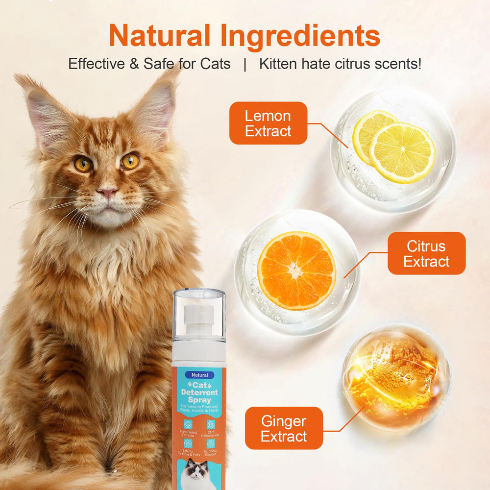GOLRISEN Cat Deterrent Spray citrus scent image highlights fragrance and deterrence