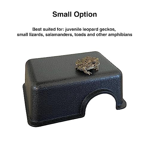Gondola Geckos reptile hide cave large inside view highlights smooth edges for safety