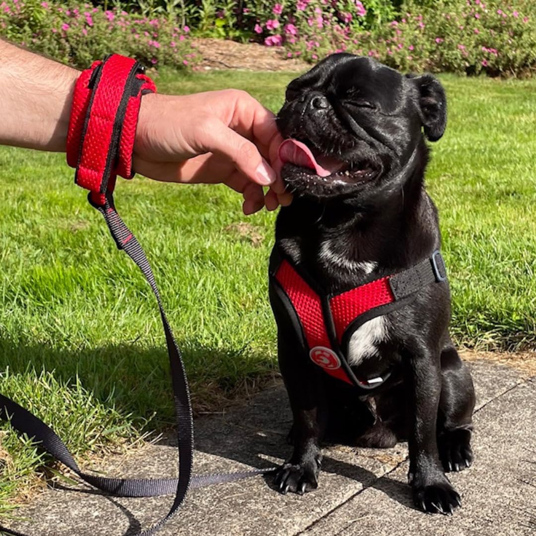 Gooby 6ft length offers balanced control and canine freedom on adventures
