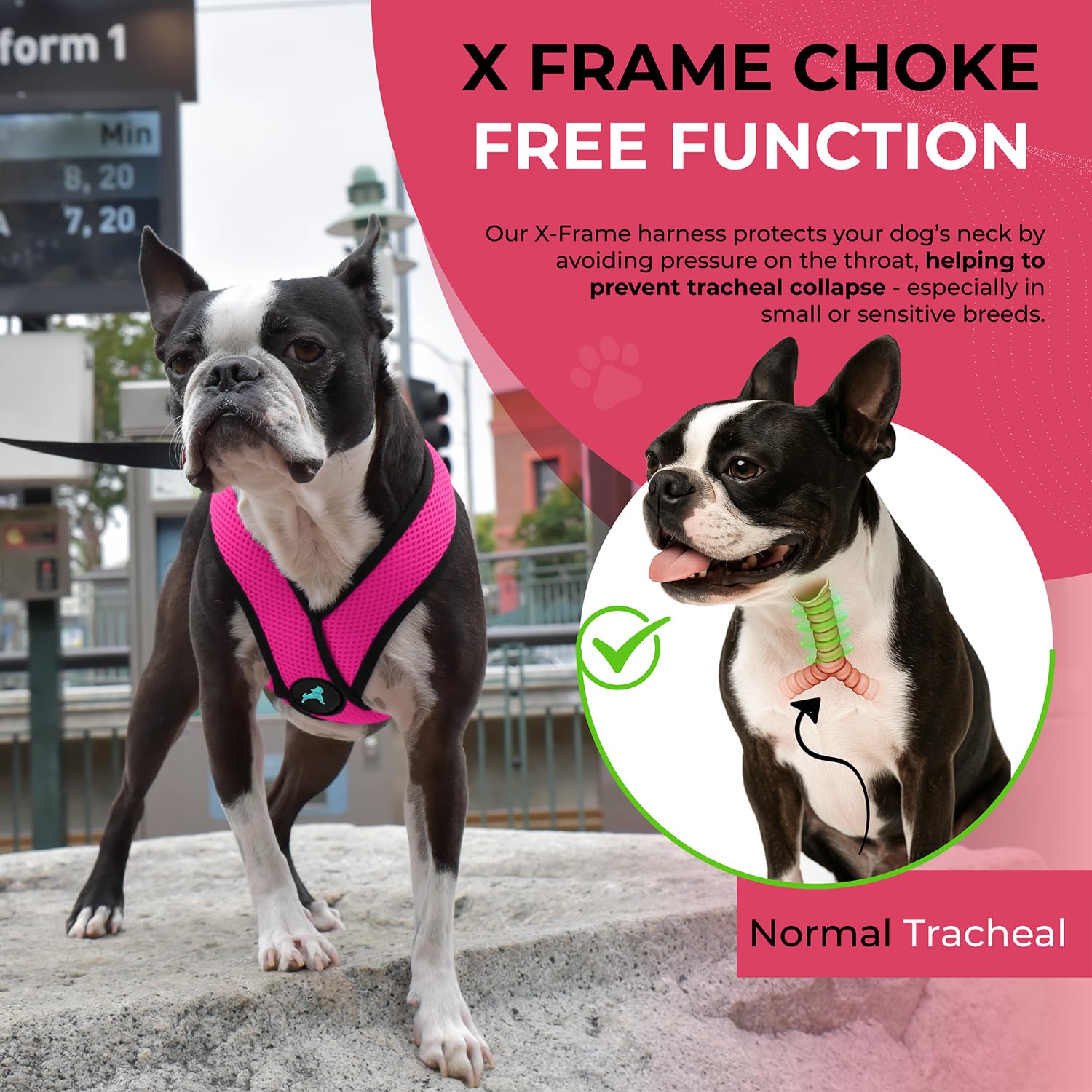 Gooby Comfort X harness Flamingo Pink mesh closeup highlights breathable fabric