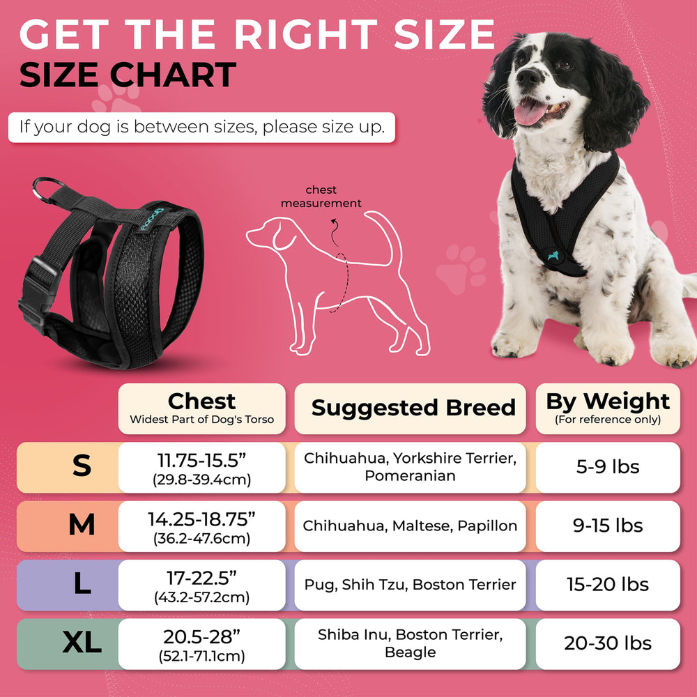 Gooby Comfort X Harness leash attachment shows a sturdy D-ring for lasting security