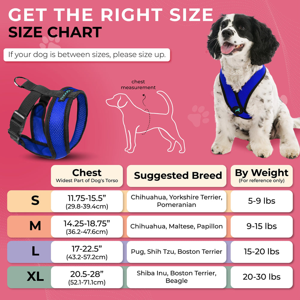 Gooby Comfort X Harness lightweight mesh keeps dogs cool on outdoor strolls.