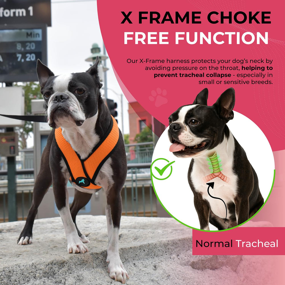 Gooby Comfort X Harness orange used indoors and outdoors for daily wear