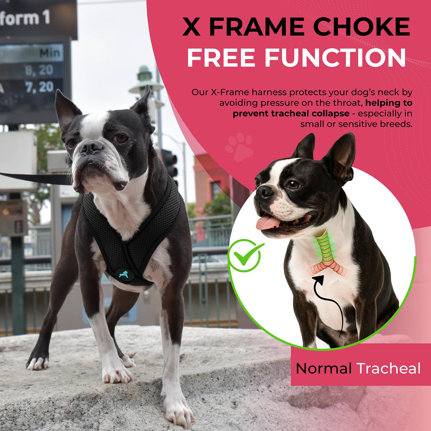 Gooby Comfort X Harness chest sizing guide helps you find the right fit