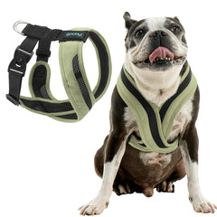 Gooby Comfort X One Portland Green close-up shows escape-free secure fit for small dogs