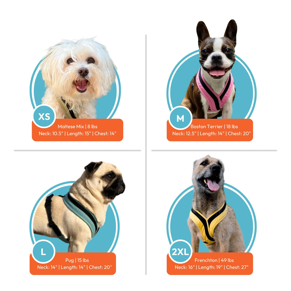 Gooby Comfort X One harness suitable for small to medium dogs with secure fit.