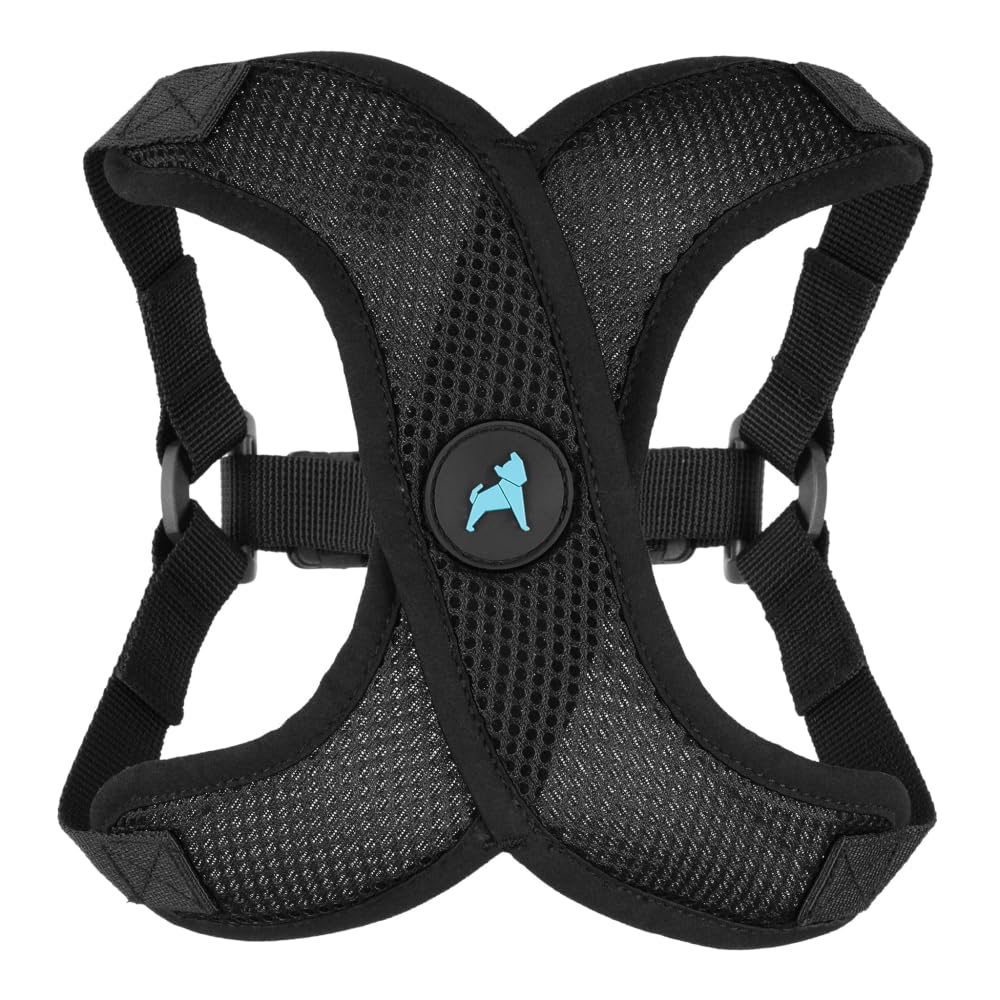 Gooby Comfort X Step in Lite Harness black on a small dog showing chest-strap focus for choke-free walks