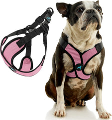 Gooby Comfort X Step in Lite Harness breathable mesh close-up emphasizes lightweight comfort