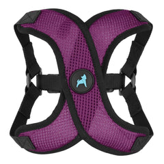Gooby Comfort X Step In Lite Harness with choke-free design, ideal for small dogs.