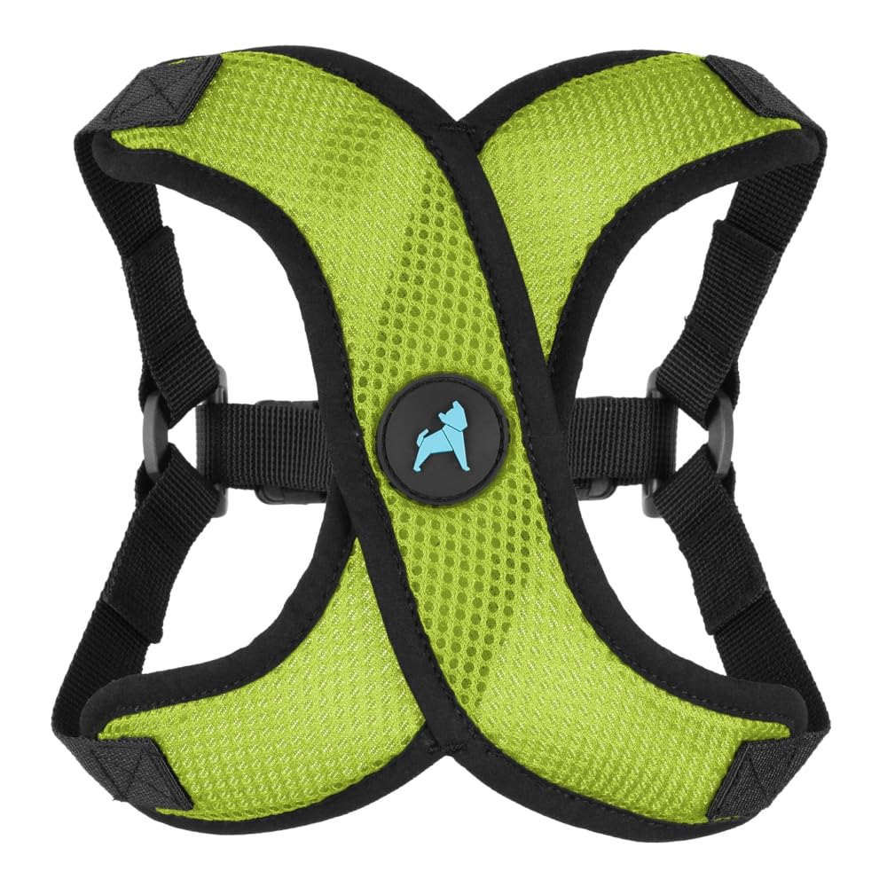 Gooby Comfort X Step-in Lite harness in green on a small dog for secure daily walks.