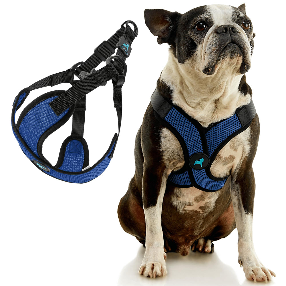 Gooby Comfort X Step-In Lite Harness close-up of lightweight breathable mesh for all-day wear.
