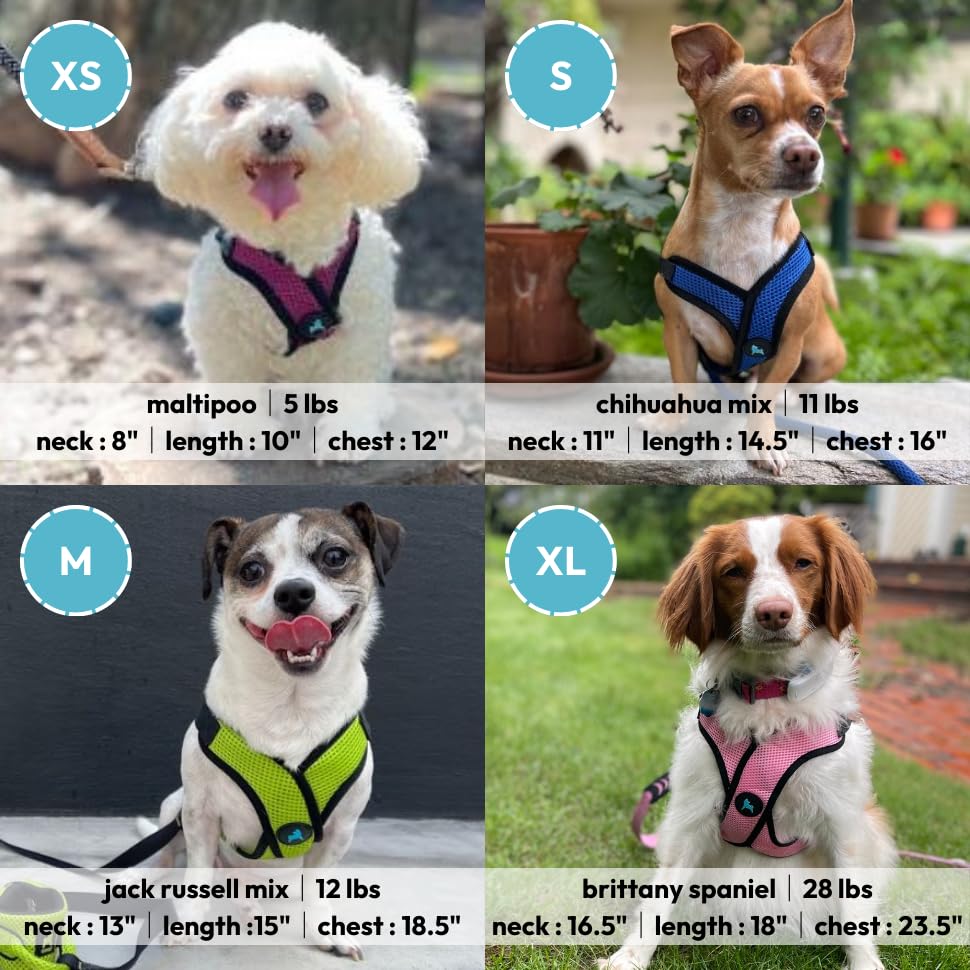 Gooby Comfort X Step In Lite Harness with quick-release buckle eases on off.