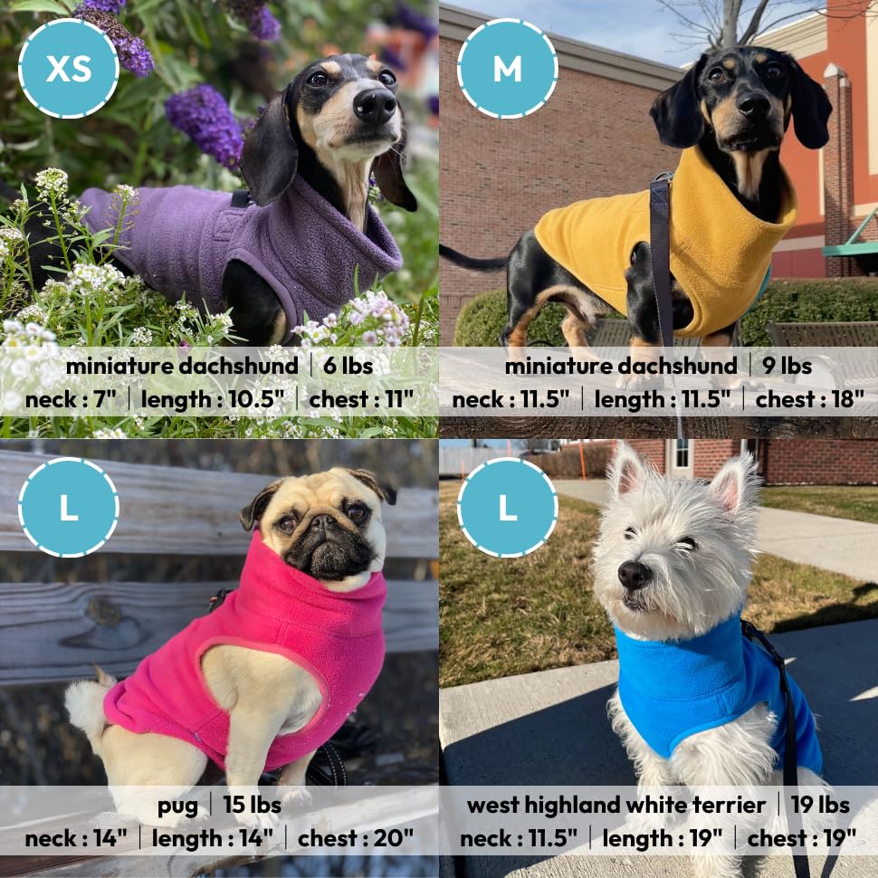 Gooby dual D-ring leash feature on blue vest for secure walks