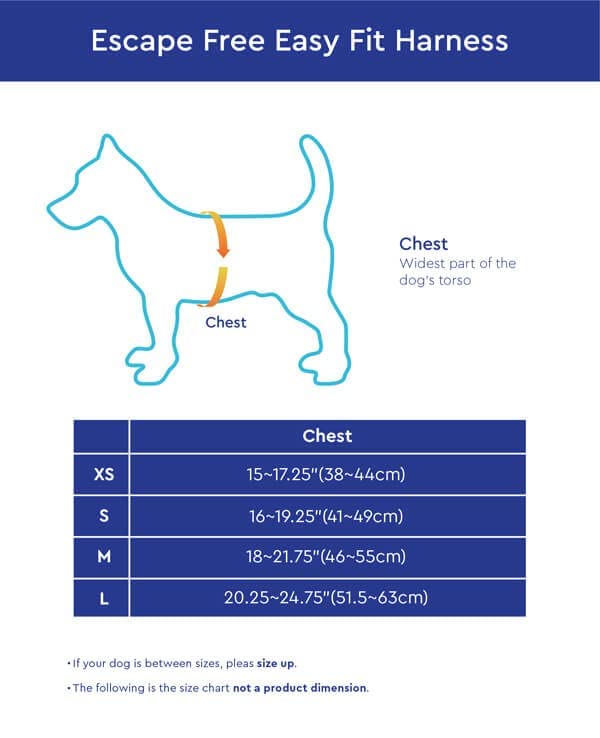 Gooby Escape Free Easy Fit blue small POM leash-ring closeup shows lightweight durability