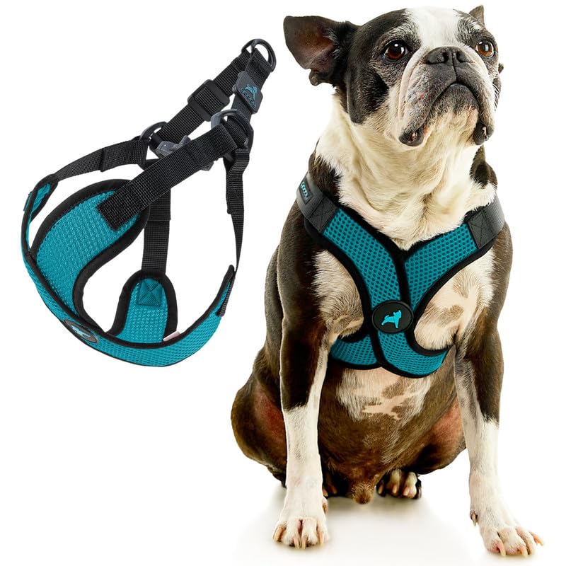 Gooby Comfort X Step in Lite Harness quick-release buckle for easy on and off.