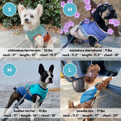 Gooby Mountaineer Jacket reflective lining boosts visibility for evening walks.