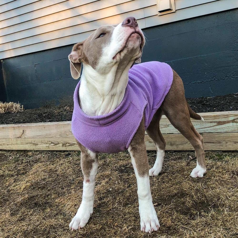 Gooby Stretch Fleece Vest close-up highlights flexible stretch fabric.