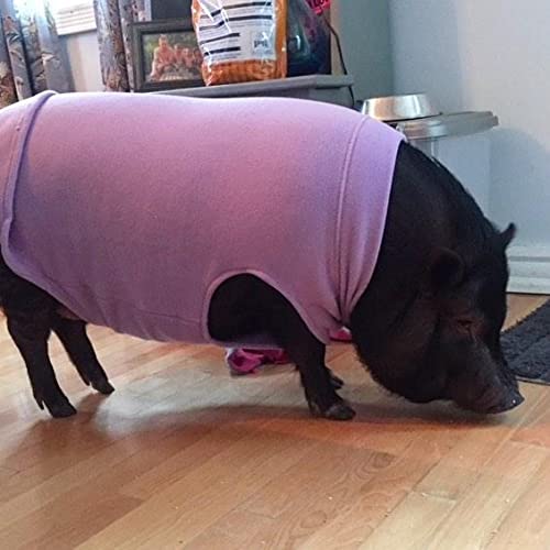Gooby Stretch Fleece Vest mini-pig-friendly option with comfortable stretch fabric