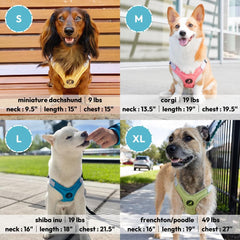 Gooby turquoise memory foam harness large breathable inner mesh supports cooling during active outings.