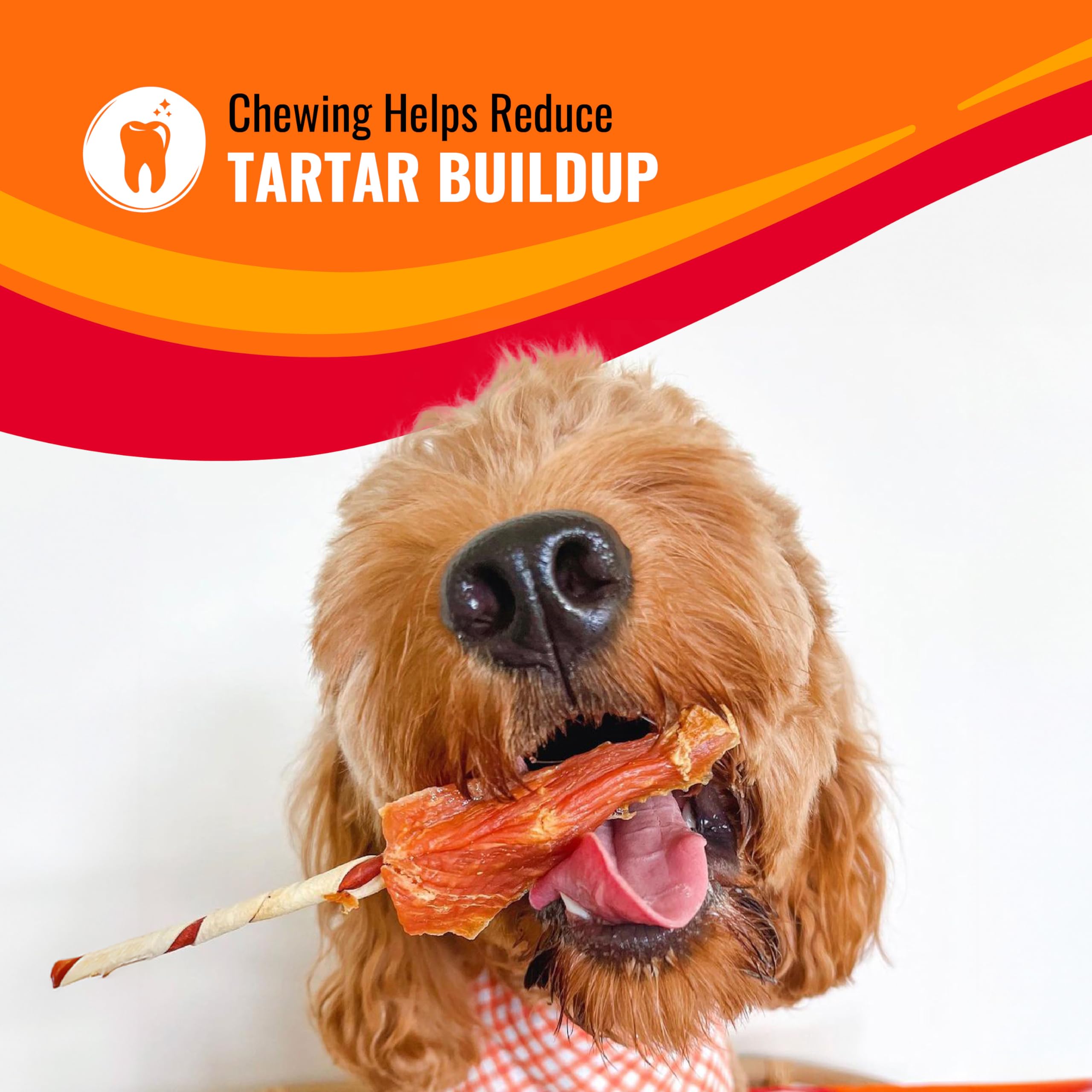 Good 'n' Fun Triple Flavor Rolls dog chew close-up with eager mouth.