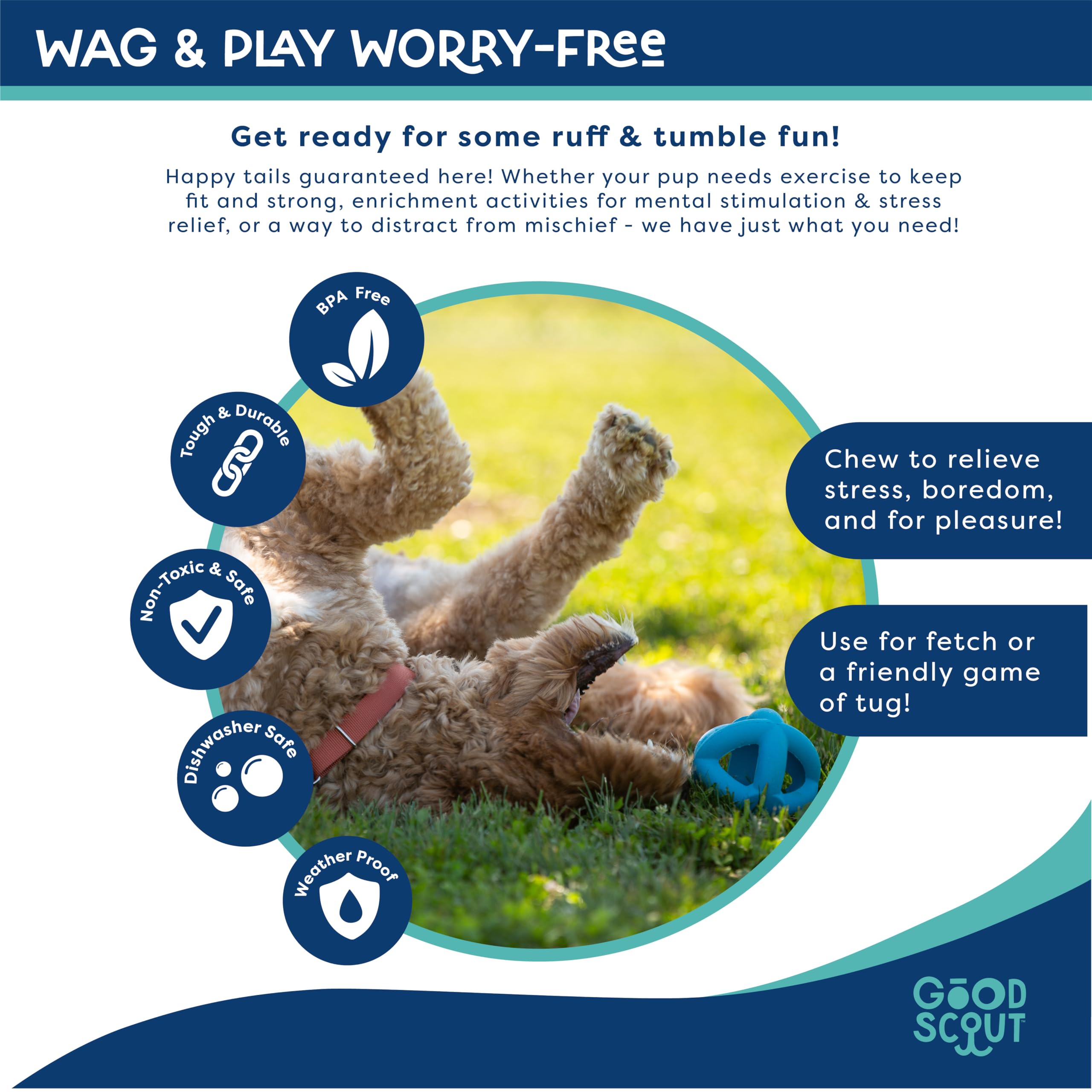 Good Scout Cage Ball Dog Toy no-stuffing design reduces debris risk.