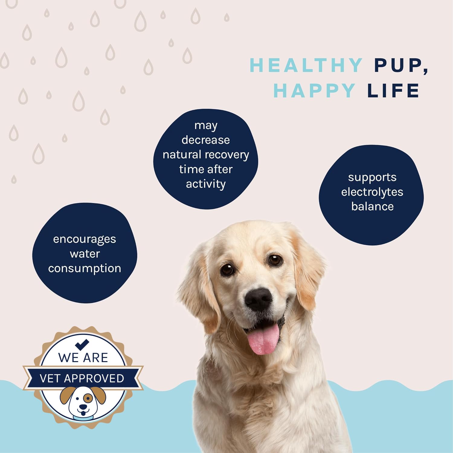 Good Trouble Pets beef hydration powder on active dog during play for endurance potential