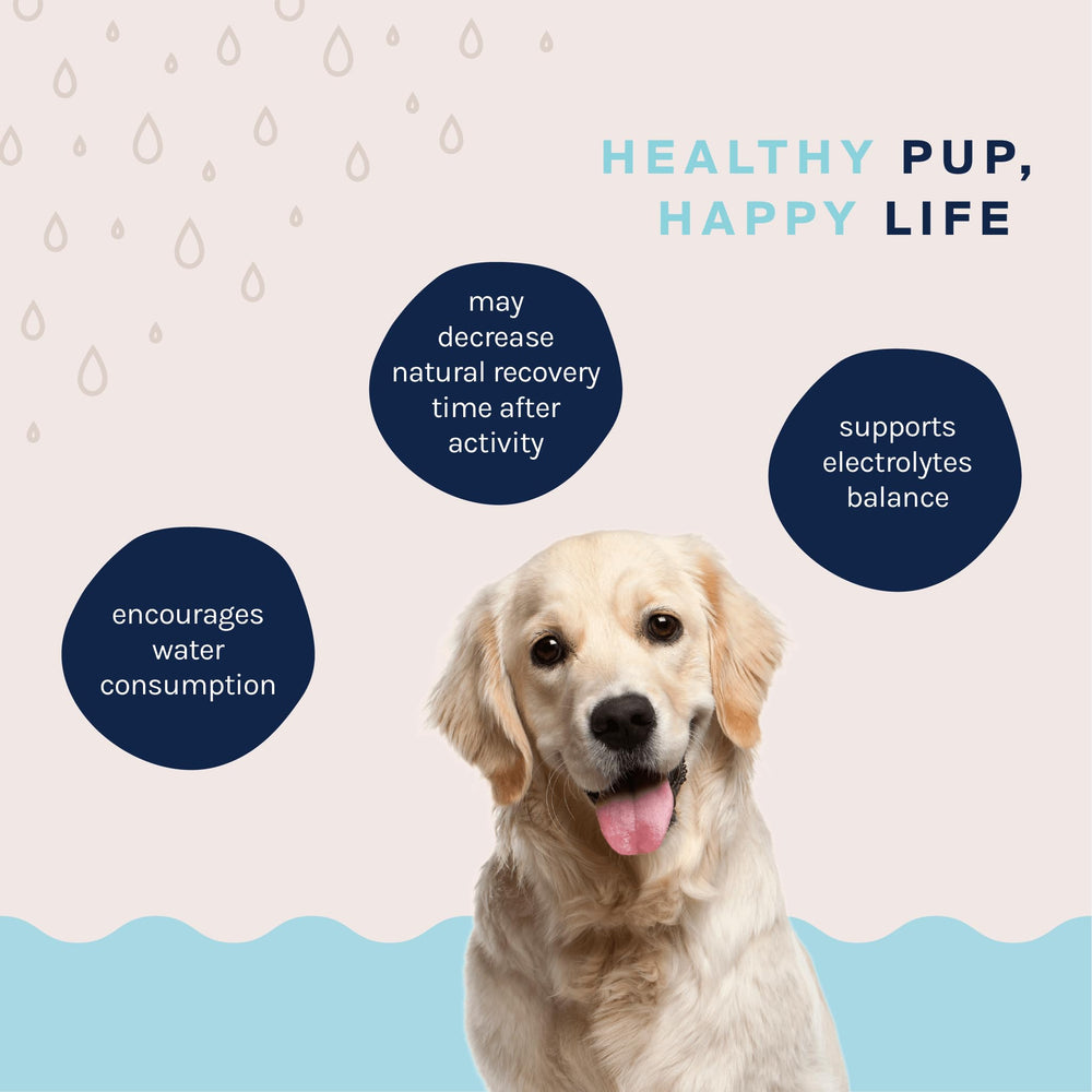 Good Trouble Pets beef hydration powder cGMP-certified facility badge and safety
