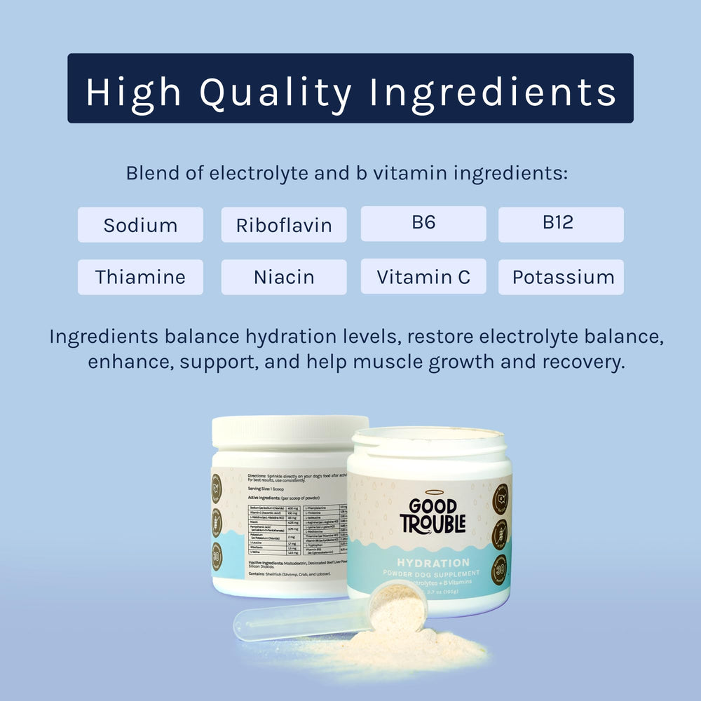 Good Trouble Pets beef hydration powder dog drinks after mixing, staying hydrated