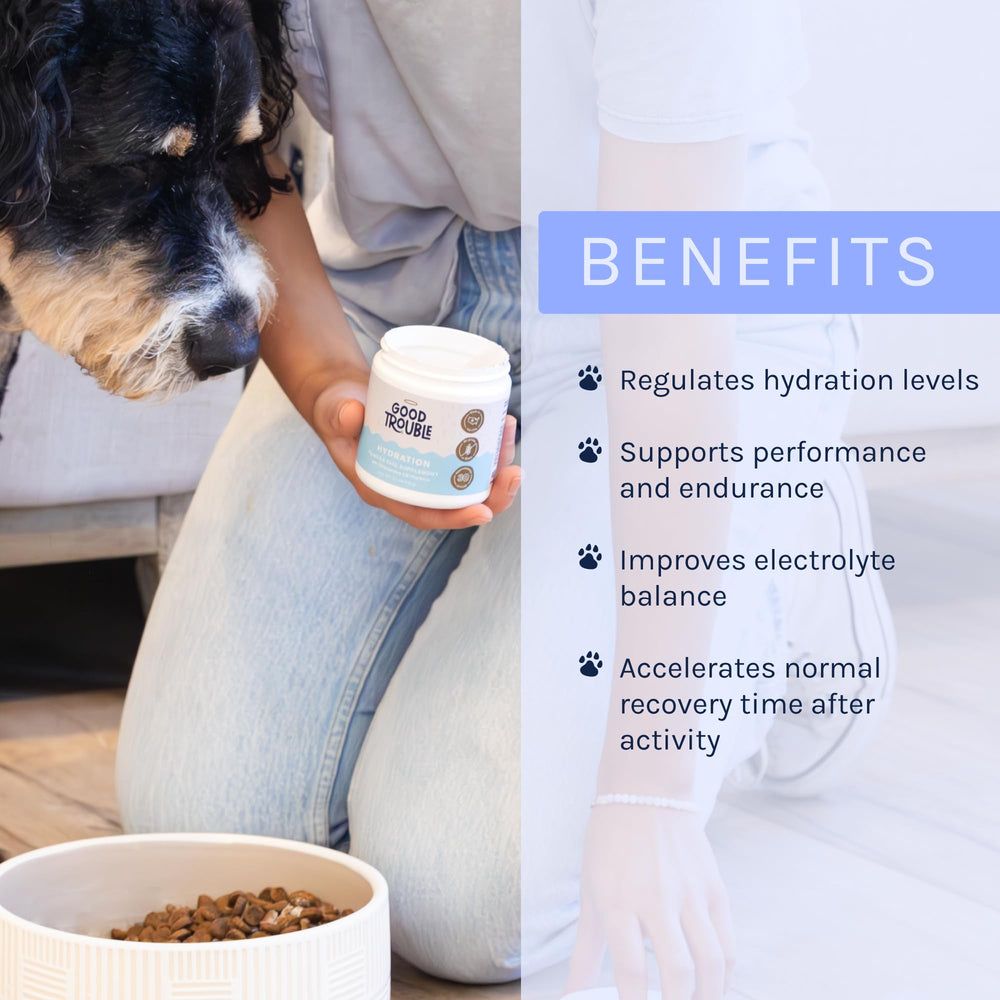 Good Trouble Pets beef hydration powder measuring scoop for accurate portions