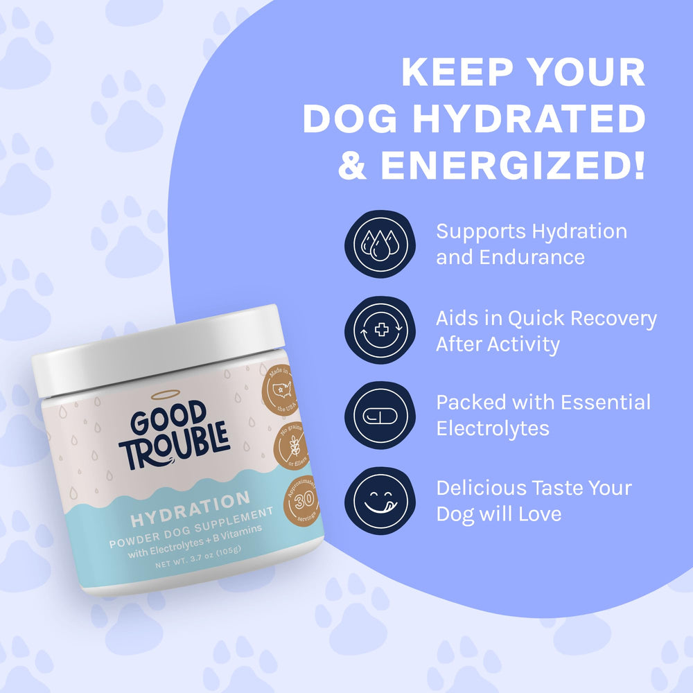 Good Trouble Pets beef hydration powder scoop with precise serving for consistent dosing