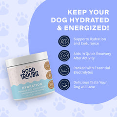 Good Trouble Pets beef hydration powder scoop with precise serving for consistent dosing