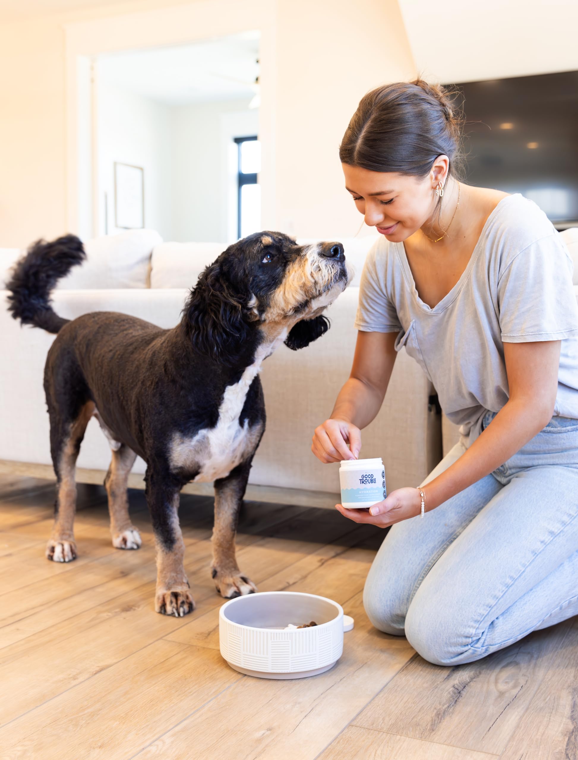 Good Trouble Pets beef hydration powder USA-made label highlighting quality