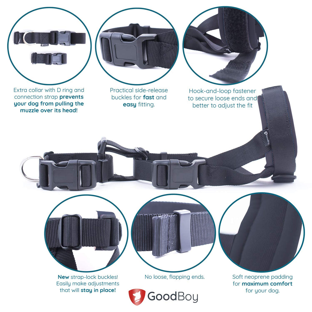 GoodBoy padding minimizes chafing for longer wear and happier dogs.