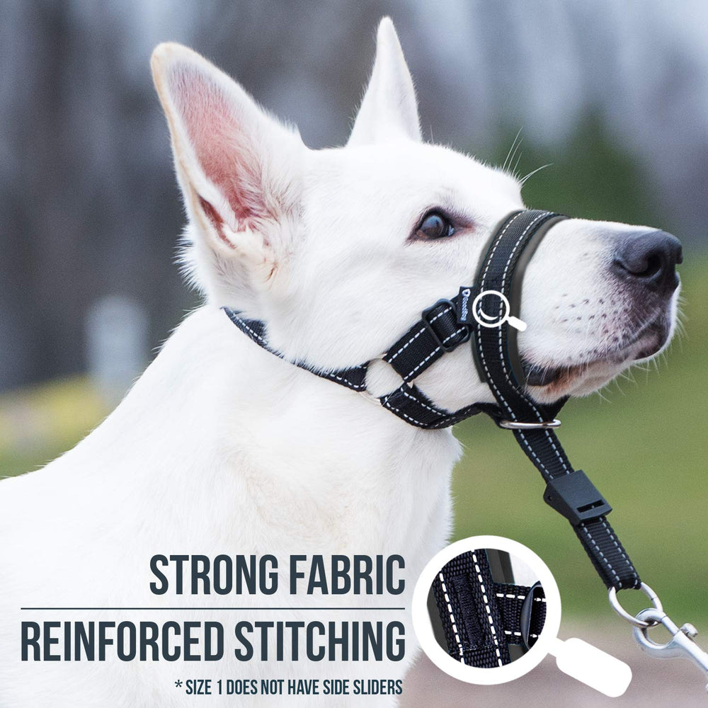 GoodBoy head halter adjustable neck strap enables a custom fit