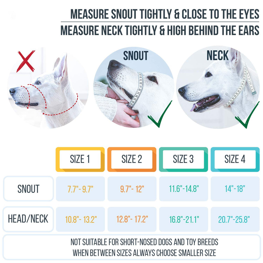 GoodBoy head halter metal chin-clip allows secure, quick adjustments