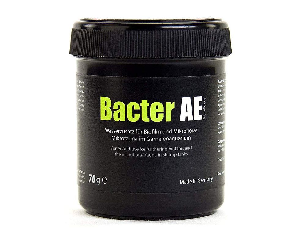 GOODGROWLIES GlasGarten Bacter AE shrimp survival demo with baby shrimplets in a nano tank.