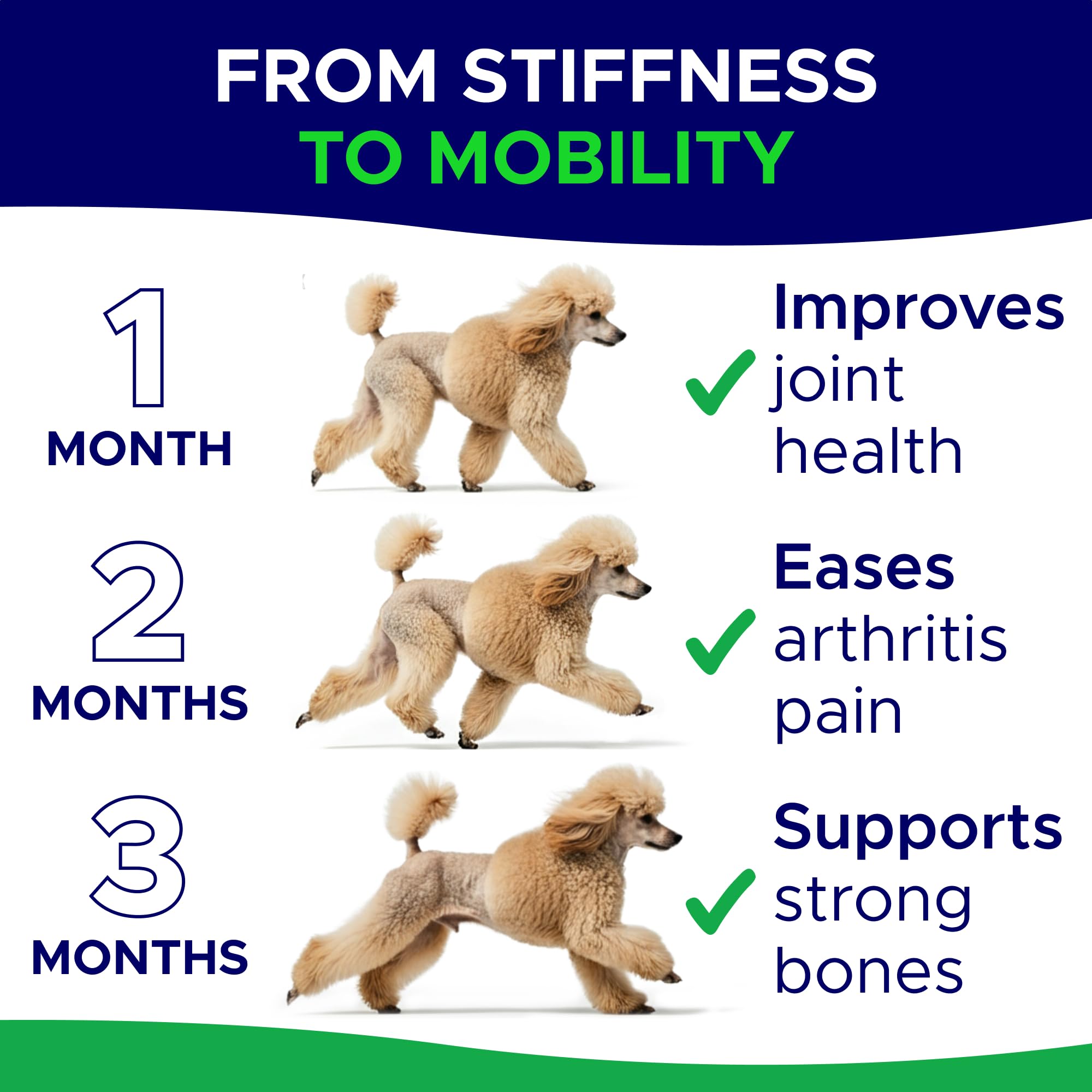 GOODGROWLIES glucosamine-dogs-chews-wide-shot displays tasty chews dogs happily enjoy during routines.