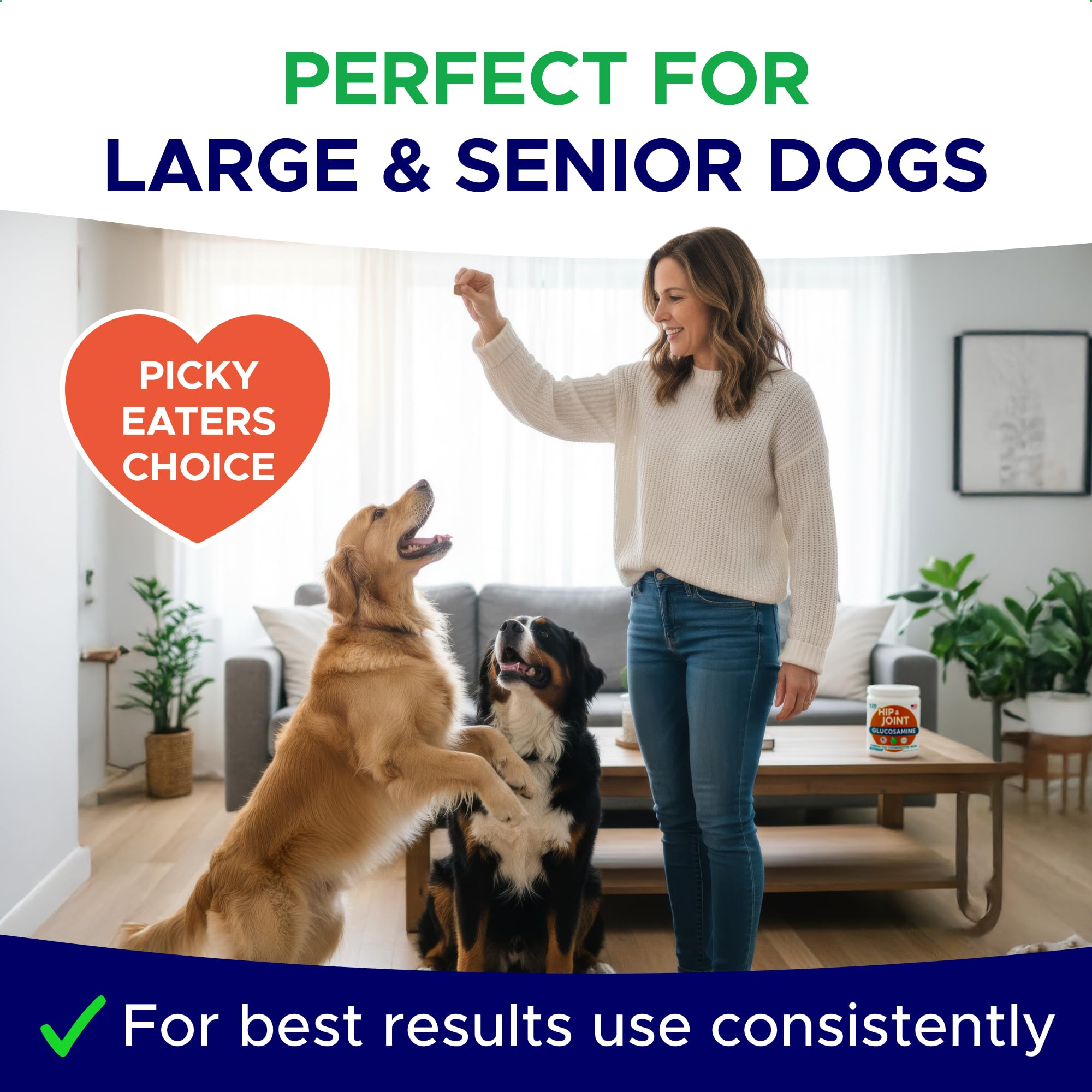 GOODGROWLIES glucosamine-dogs-owner-holding-chews demonstrates simple daily treat-based joint support.