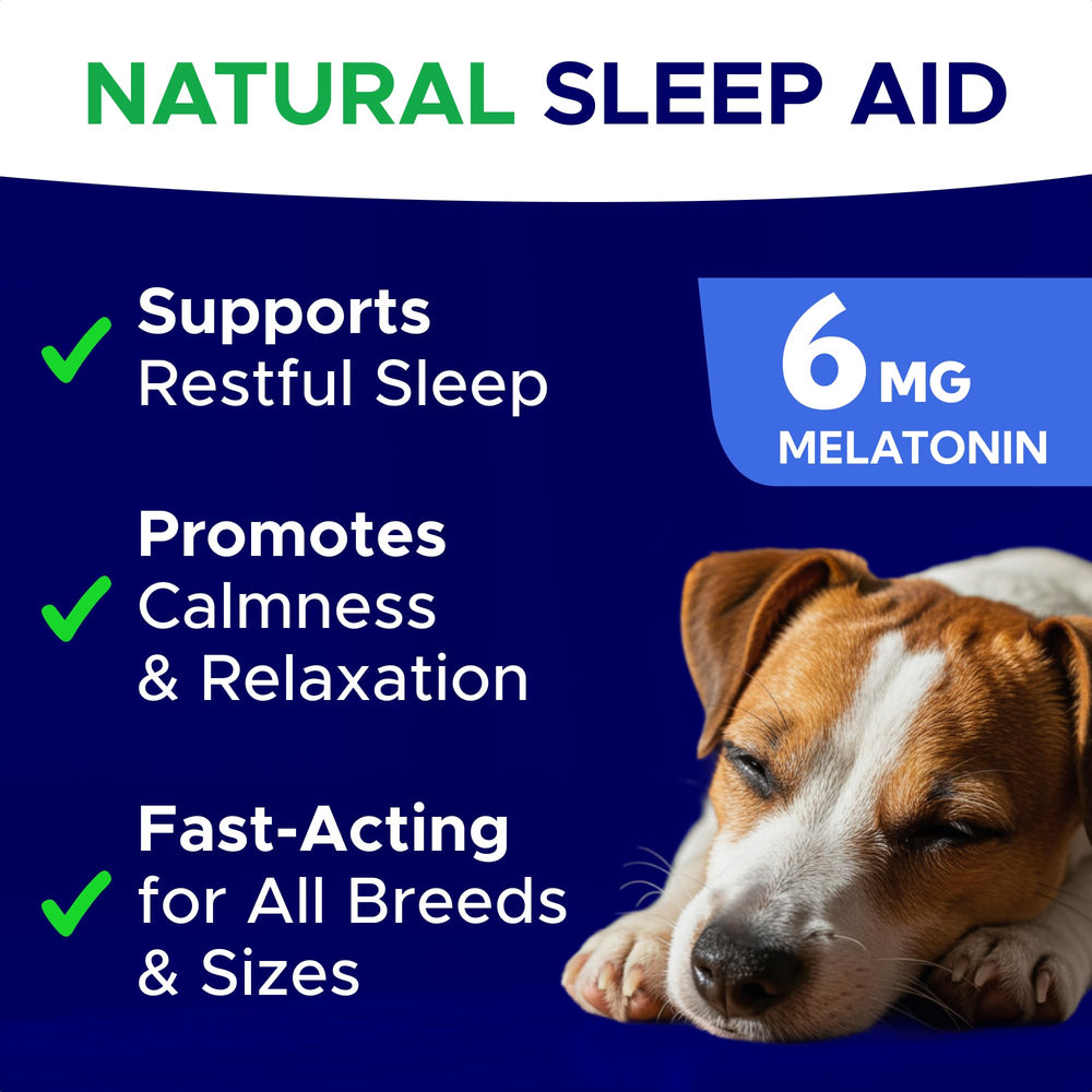 GOODGROWLIES melatonin dog-chews bottle emphasizes easy night-time routines